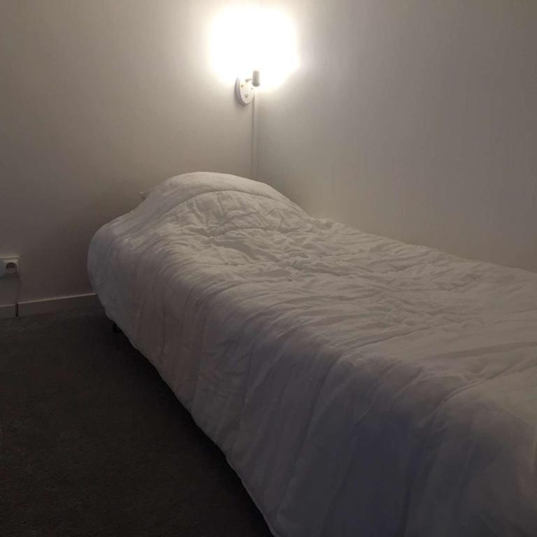 Studio Mezzanine 4 Pers, Proche Pistes et Commerces, Balcon Est, Animaux Bienvenus - Appartement 1 Chambre - 6