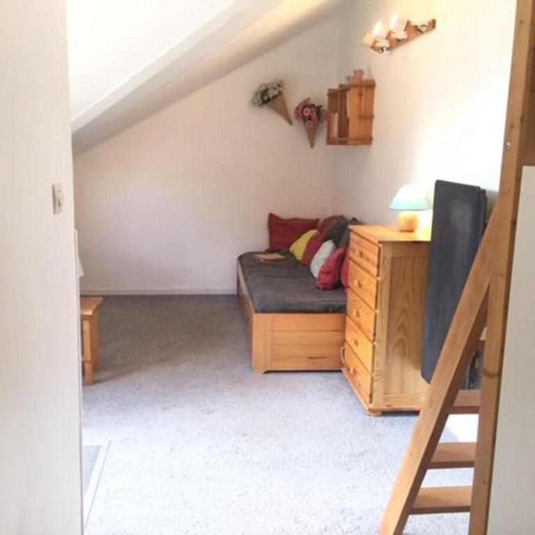Studio Mezzanine 4 Pers, Proche Pistes et Commerces, Balcon Est, Animaux Bienvenus - Appartement 1 Chambre - 13