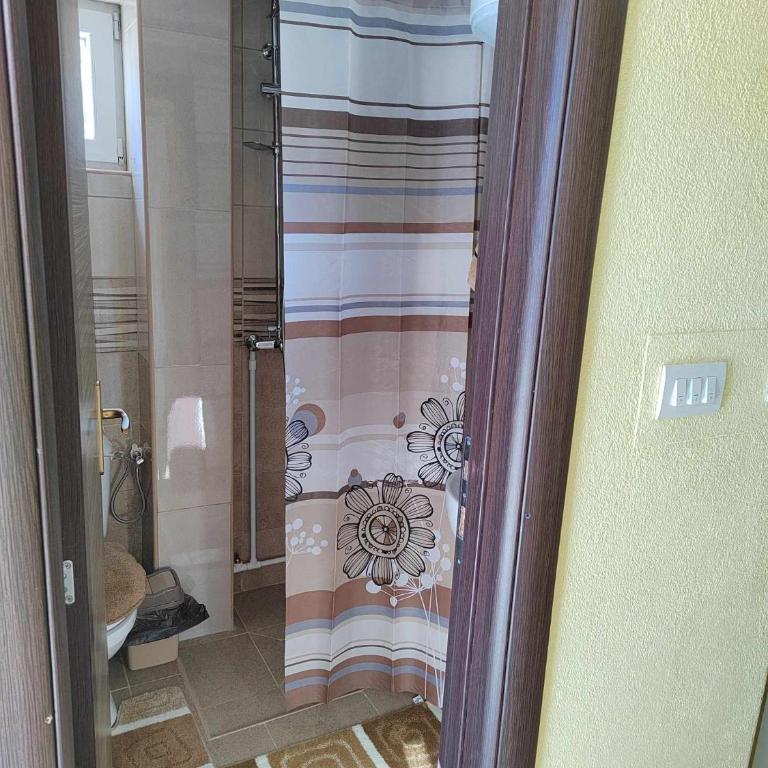 Studio apartmani Anastasija - One-Bedroom Apartment - 5