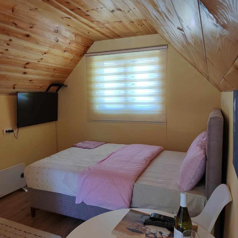 Studio apartmani Anastasija - Studio - 16