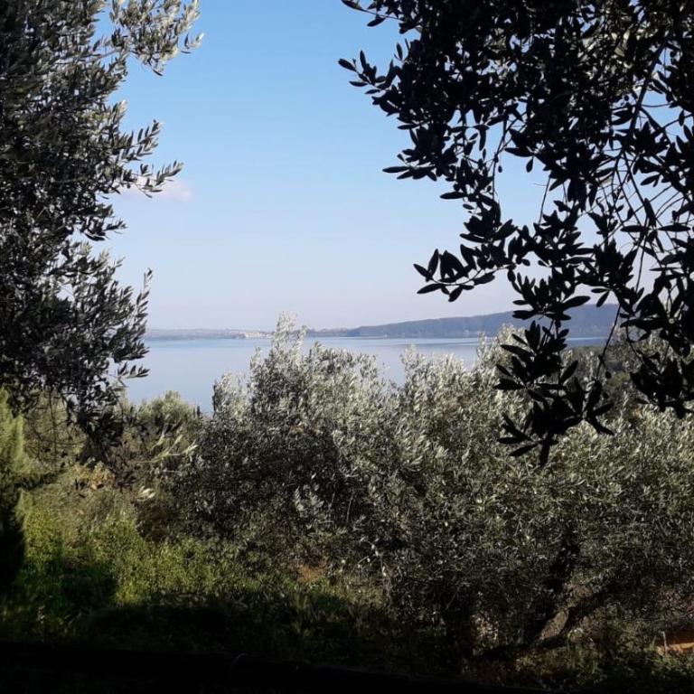 La Cerasa - vista Lago di Bracciano e giardino privato - Casa Vacanze - 67