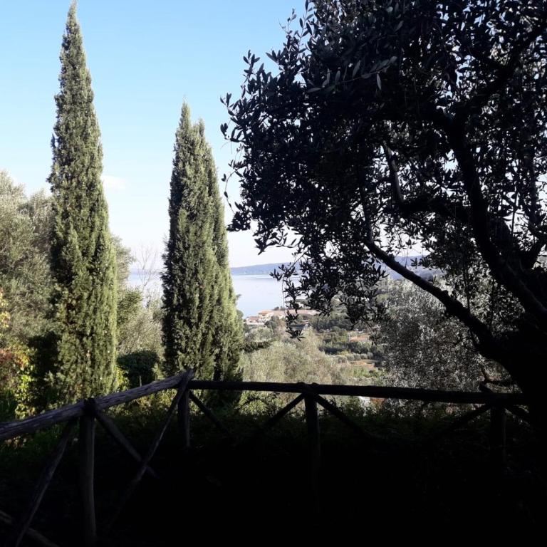 La Cerasa - vista Lago di Bracciano e giardino privato - Casa Vacanze - 56