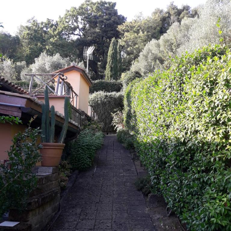 La Cerasa - vista Lago di Bracciano e giardino privato - Casa Vacanze - 14