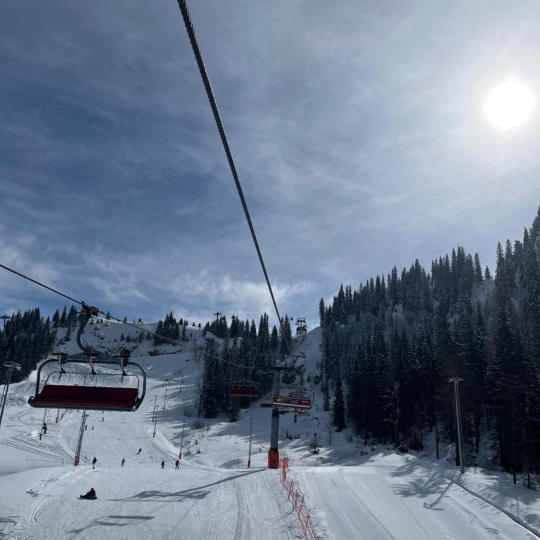 Jahorina Apartment4Two - One-Bedroom Apartment - 12