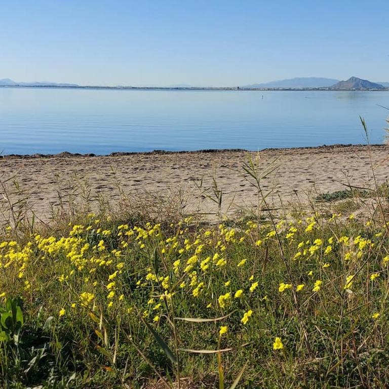 Apto. ideal con vistas al Mar Menor (tiene cuna) - Apartamento de 2 dormitorios con terraza y vistas al mar - 20