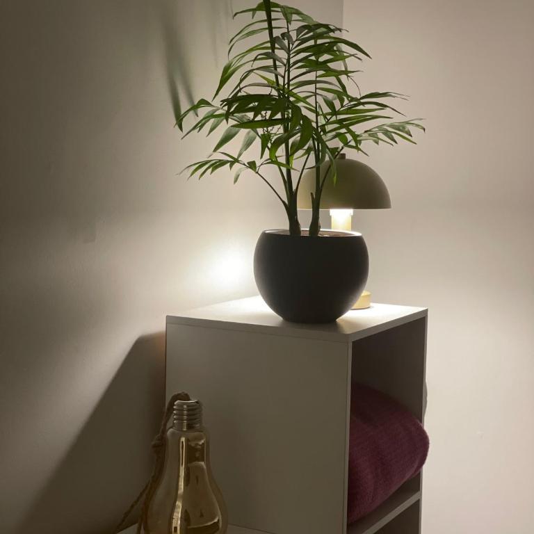 Domo Osorno - Two-Bedroom Apartment - 17