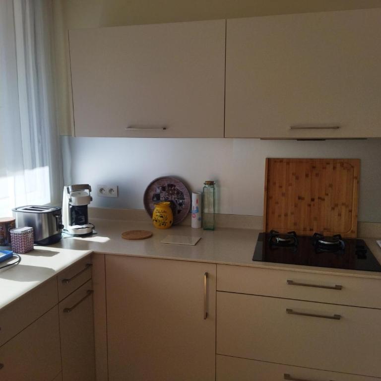 Le Puy de Dôme - Appartement - 16