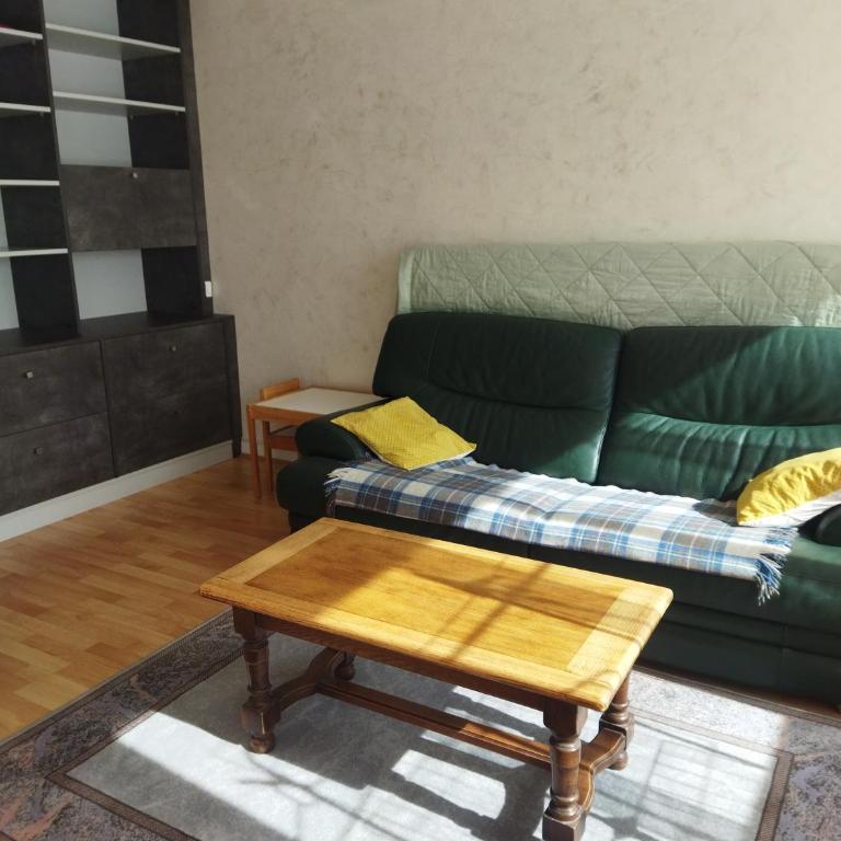 Le Puy de Dôme - Appartement - 19