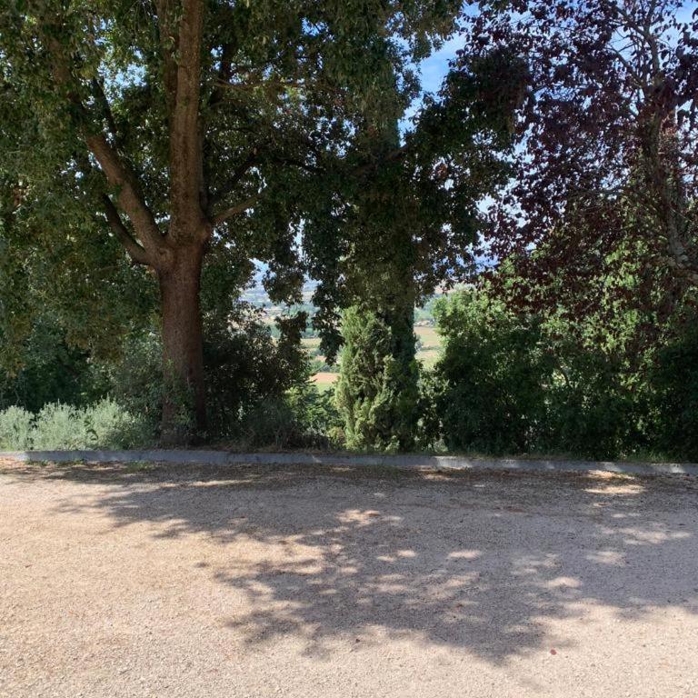 Borgo Eva - Appartamento con 2 Camere da Letto - 19