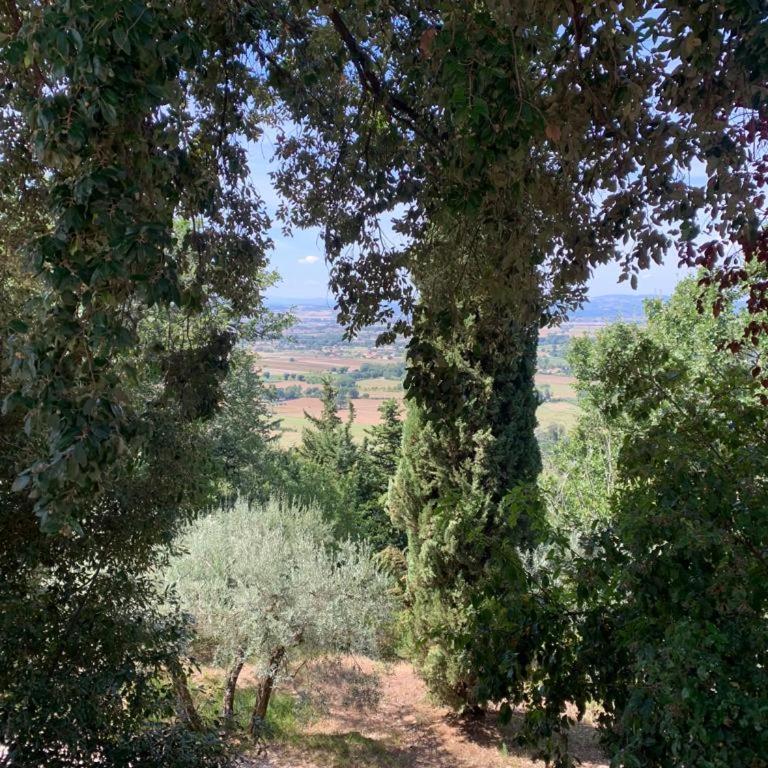 Borgo Eva - Appartamento con 2 Camere da Letto - 20