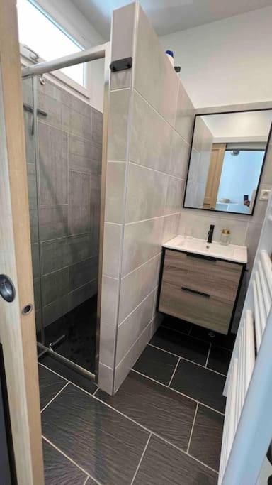 Magnifique T2 Lumineux 3 étoiles - Centre Aix les Bains - Apartment mit 1 Schlafzimmer - 11