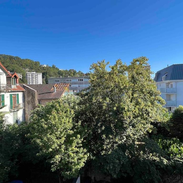 Magnifique T2 Lumineux 3 étoiles - Centre Aix les Bains - Apartment mit 1 Schlafzimmer - 15