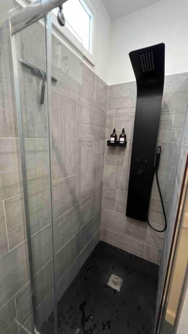 Magnifique T2 Lumineux 3 étoiles - Centre Aix les Bains - Apartment mit 1 Schlafzimmer - 25