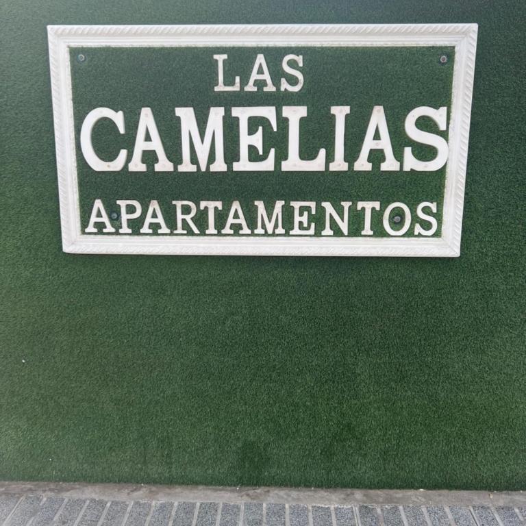 Yumbo Appartamenti Las Camelias Playa del Inglés - Apartamento de 1 dormitorio - 1