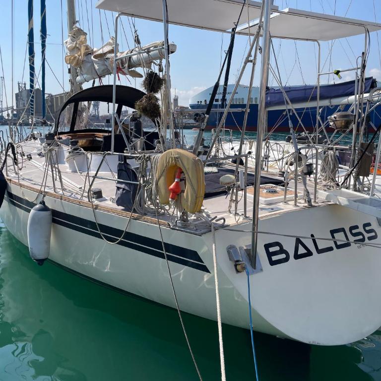 SailBoat B&B on Board - Camera Matrimoniale con Bagno Privato - 14