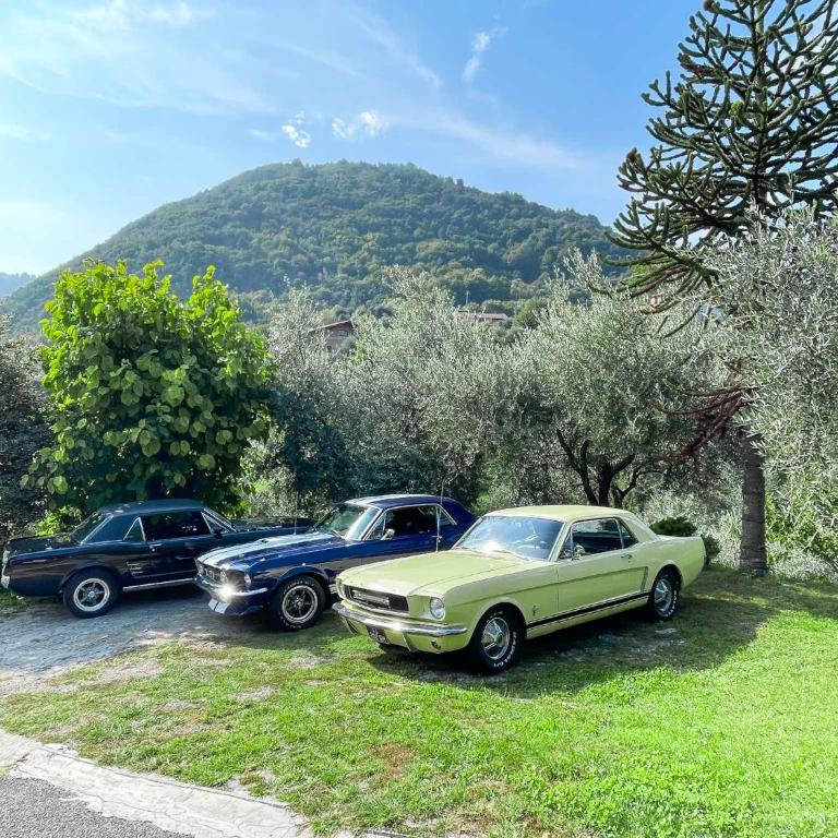 Breva, Loft tra gli ulivi ed il lago - Appartamento con 1 Camera da Letto - 26