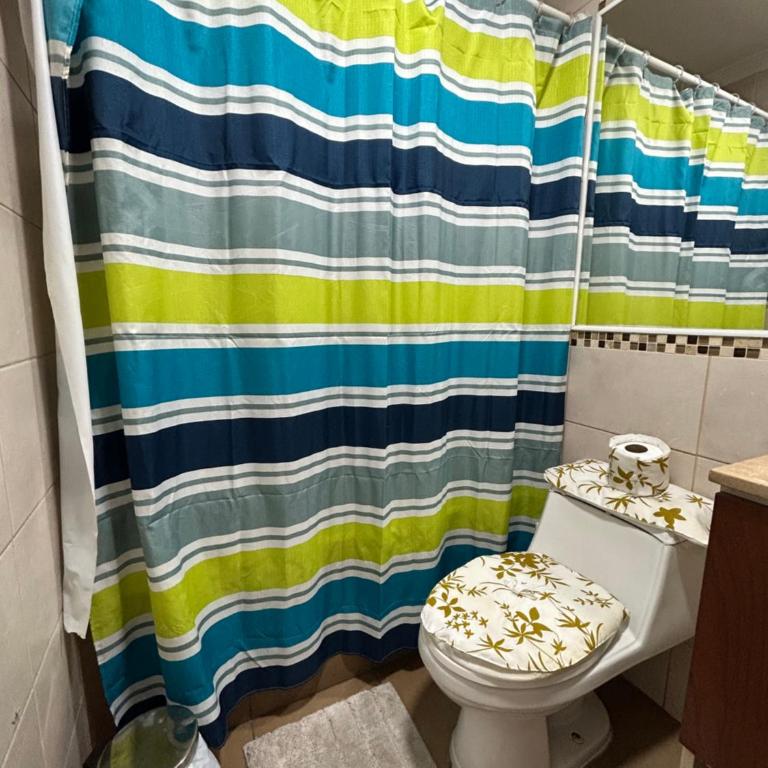 Arriendo Departamento amoblado por día Santiago Centro - Apartamento de 1 dormitorio - 31