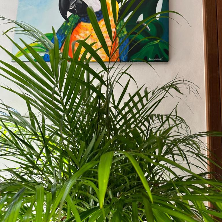 Oasis Urban Retreat - Apartamento de 1 dormitorio - 10