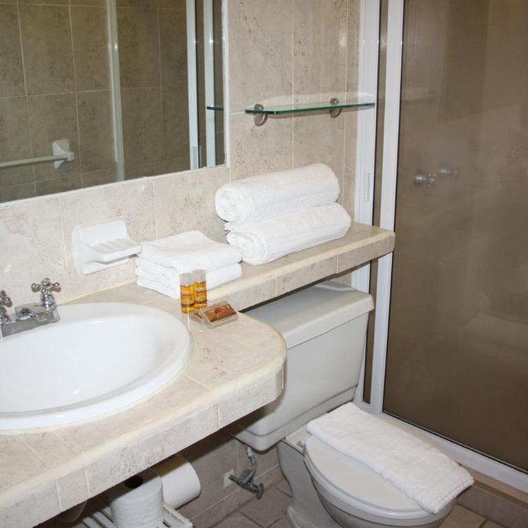 Amapas Apartments Puerto Vallarta - One-Bedroom Apartment - 4
