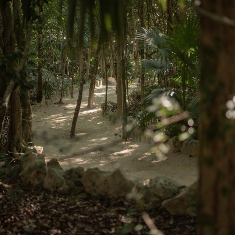 Naum - Secluded Villa with Private Cenote - Villa - 63