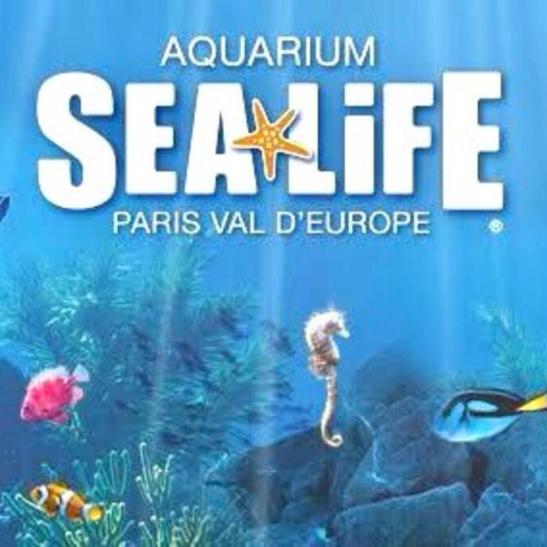The Place To Be - à 5 min de Disneyland Paris - Appartamento con 2 Camere da Letto - 23