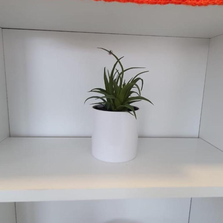 Bello Sur - Apartamento de 1 dormitorio - 7