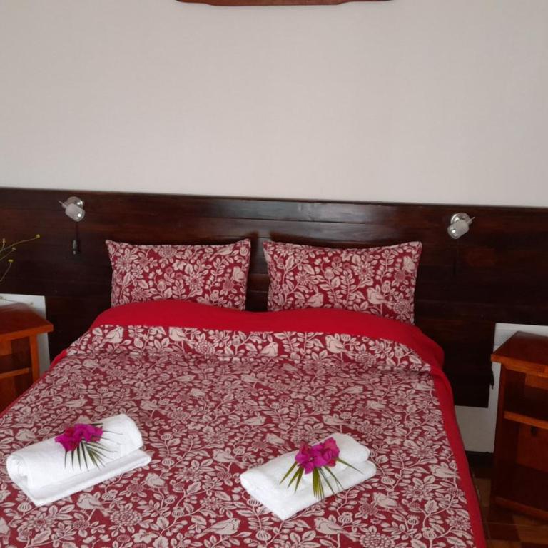 Hostal Makohe Rapa Nui - Habitación Doble - 11