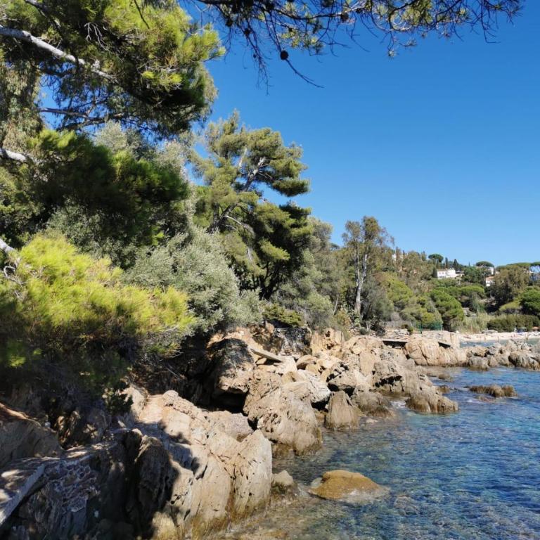 Les Iles d' Or Appartement - Apartamento de 1 dormitorio - 48