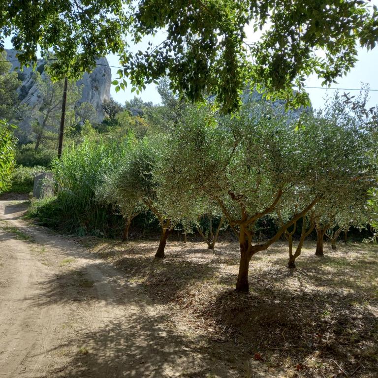 La roulotte du petit paradis - Tente - 11