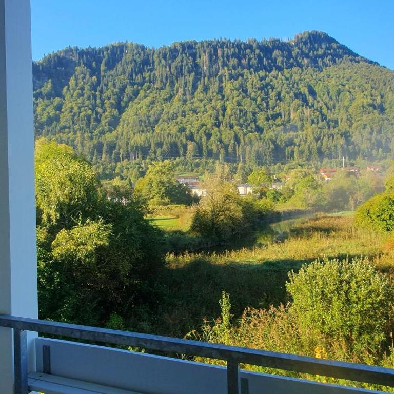 Immenstädter Horn - Apartment - 11