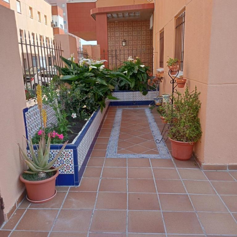 LOS MELLIS - Apartamento de 3 dormitorios - 1