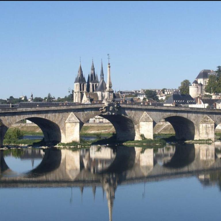 Le Petit Nicolas - Centre historique de Blois - NETFLIX, JEUX, RETROJECTEUR - Appartement 1 Chambre - 19