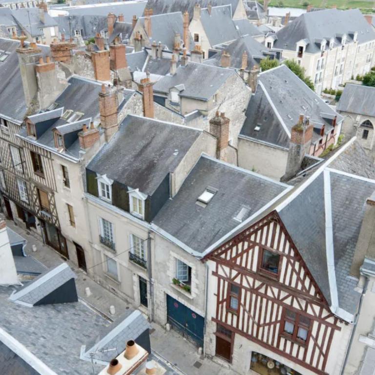 Le Petit Nicolas - Centre historique de Blois - NETFLIX, JEUX, RETROJECTEUR - Appartement 1 Chambre - 23