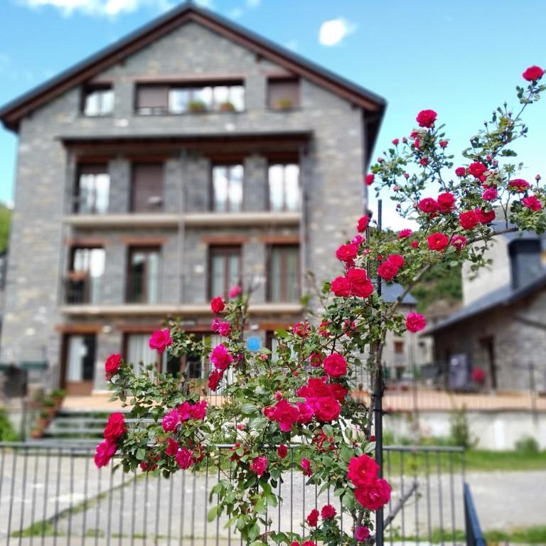 Apart. Casa Juaneta Pirineo-Ordesa - Apartment mit 2 Schlafzimmern - 1