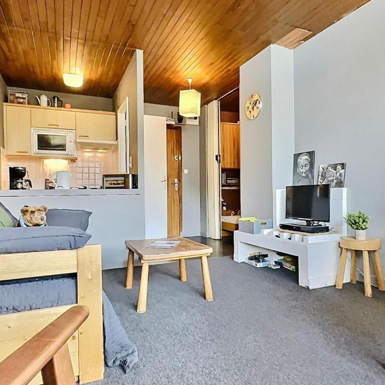 Appartement 2 pièces, 4 personnes, proche pistes, animaux acceptés - FR-1-411-775 - Apartment (5 Adults) - 4