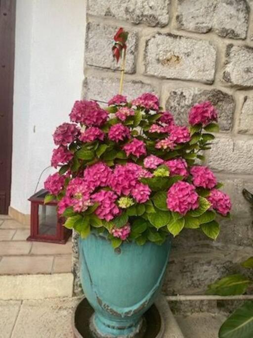 Charmant appart avec jardin - Maison 1 Chambre - 17