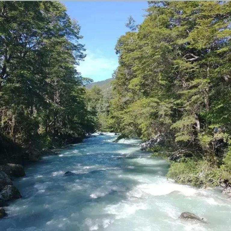 Cabañas Los Ranchos del Puelo - Habitación Doble con vistas al parque - 9