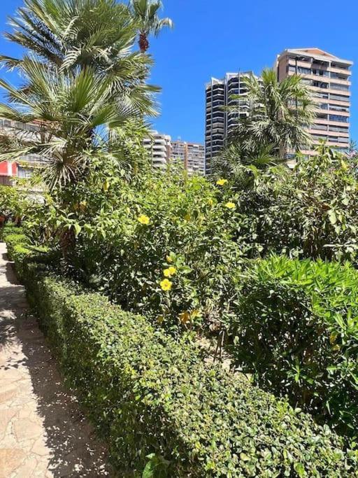 2ª línea playa · Terraza enorme · Piscina y garaje - Apartamento - 19