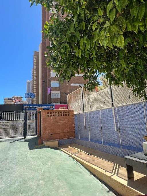 2ª línea playa · Terraza enorme · Piscina y garaje - Apartamento - 22