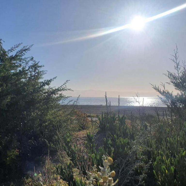 In riva al mare - Appartamento con Vista Mare - 28