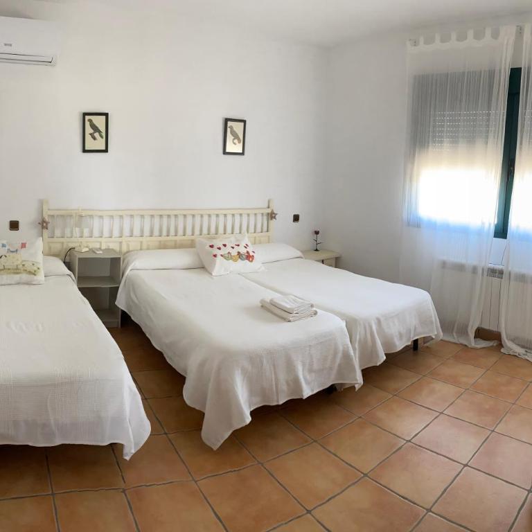 FINCA VALDELAJARA a 20 minutos de Puy du Fou - Casa de 4 dormitorios - 6