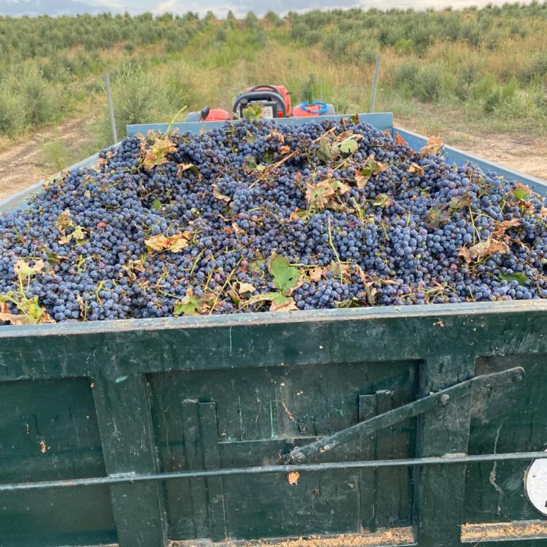 FINCA VALDELAJARA a 20 minutos de Puy du Fou - Casa de 4 dormitorios - 24
