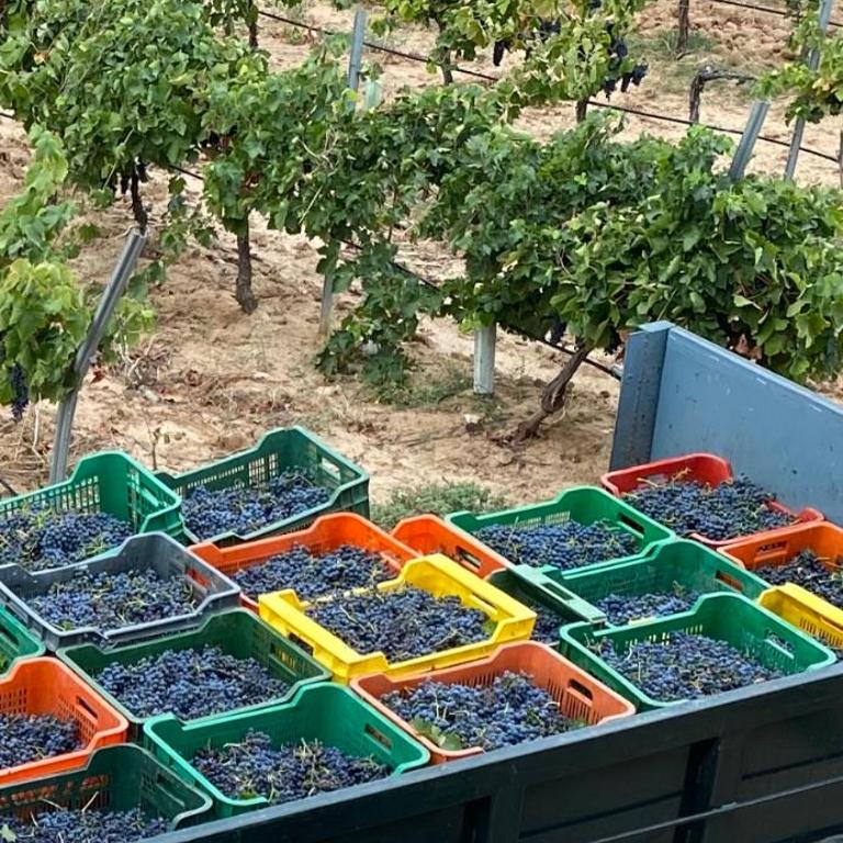 FINCA VALDELAJARA a 20 minutos de Puy du Fou - Casa de 4 dormitorios - 26