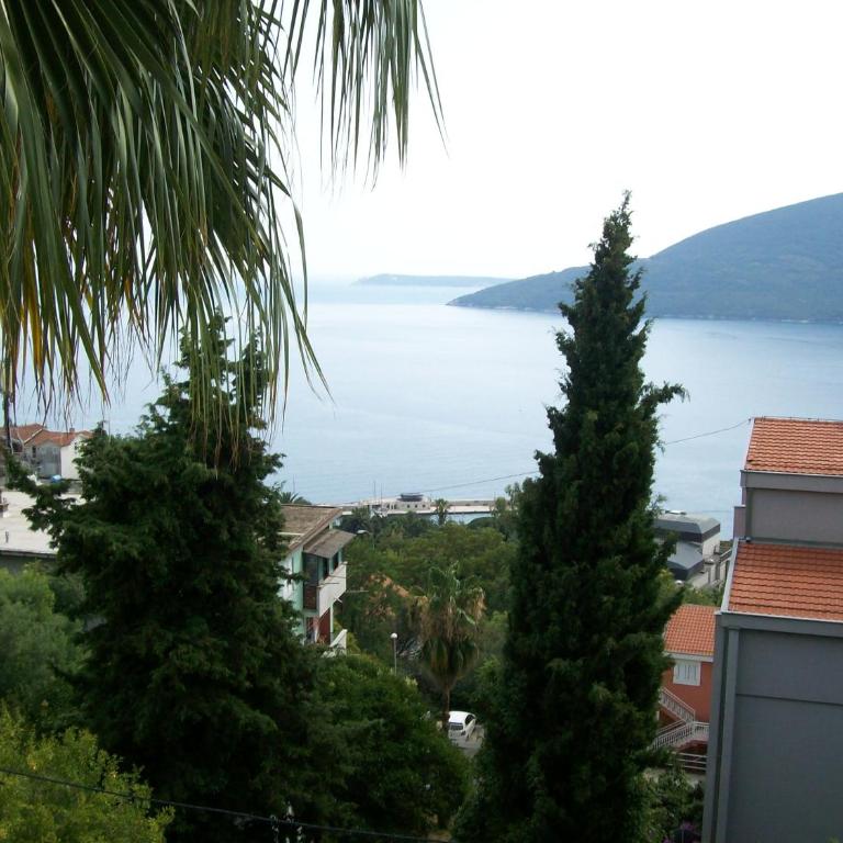 Ljuke - Apartman - Prizemlje - 2