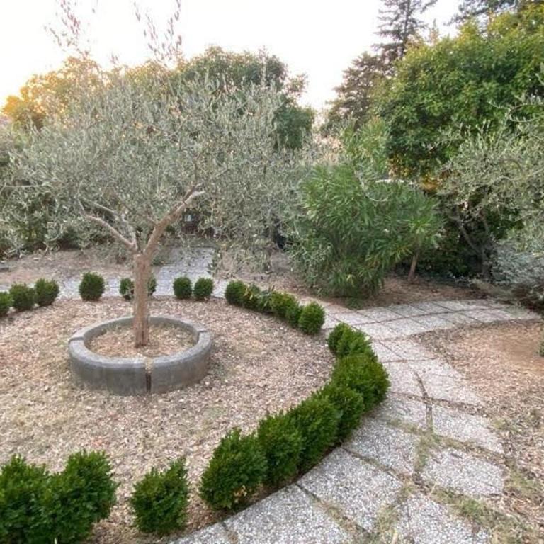 La Casa delle Ciliegie - Casa Vacanze - 45