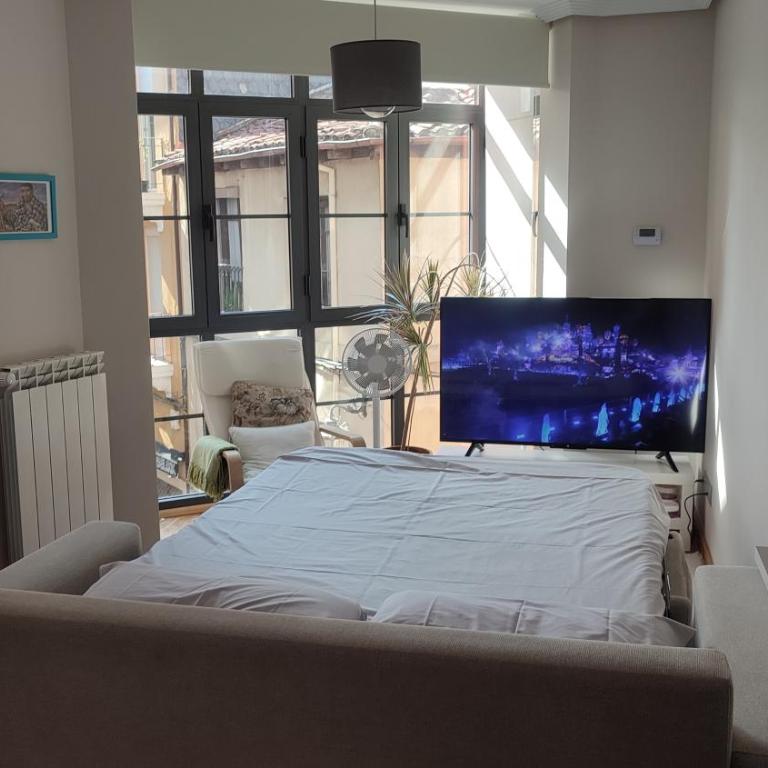 Estudio Paloma - Apartamento de 1 dormitorio - 37