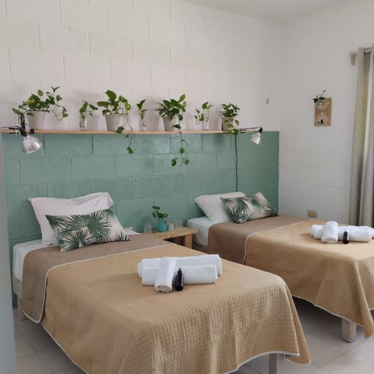 Casa Palmita - Quadruple Room with Shared Bathroom - 4