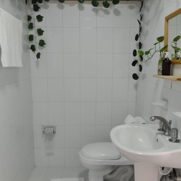 Casa Palmita - Quadruple Room with Shared Bathroom - 12