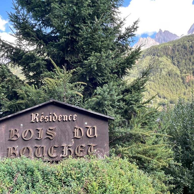 Résidence Bois du Bouchet, appartement vue montagne, calme, parking gratuit, proche centre - Appartement 1 Chambre - 22