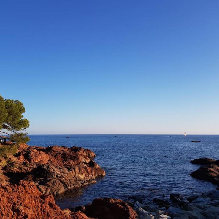 Nid d'Azur à Cap Esterel - Côte d'Azur - VUE MER - Climatisé - Piscines - Appartement 1 Chambre - 25